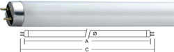 T10-halophosphate-fluorescent-tube