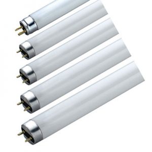 Halophosphate Fluorescent Tube 716102-0