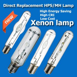 xenon Lamps